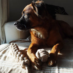 Tilley + Me Indestructible Hemp Rope Ball Toy - Sustainable and Non-Toxic Pet Toy