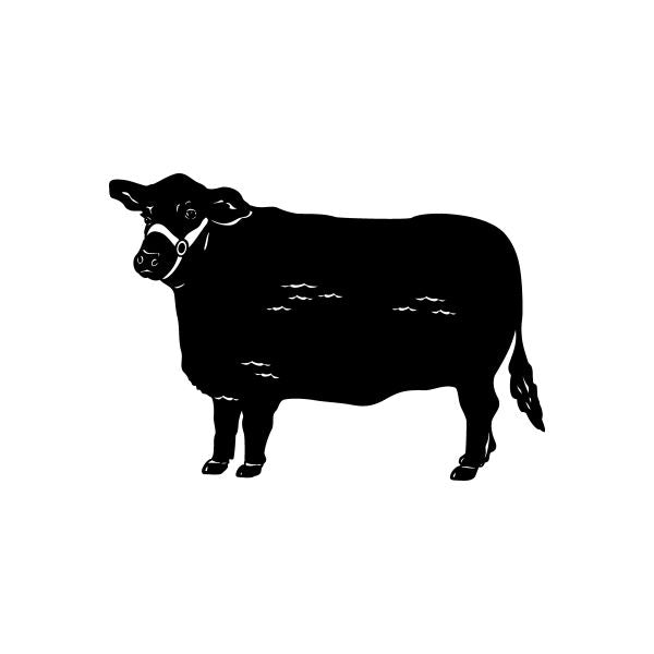 Pinstripe Pinstripes west Car Vinyl Decal Sticker Stickers 2