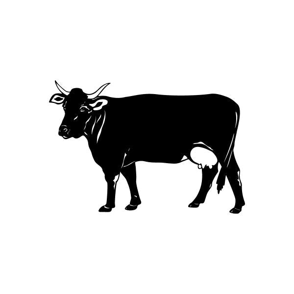 Pinstripe Pinstripes west Car Vinyl Decal Sticker Stickers 6