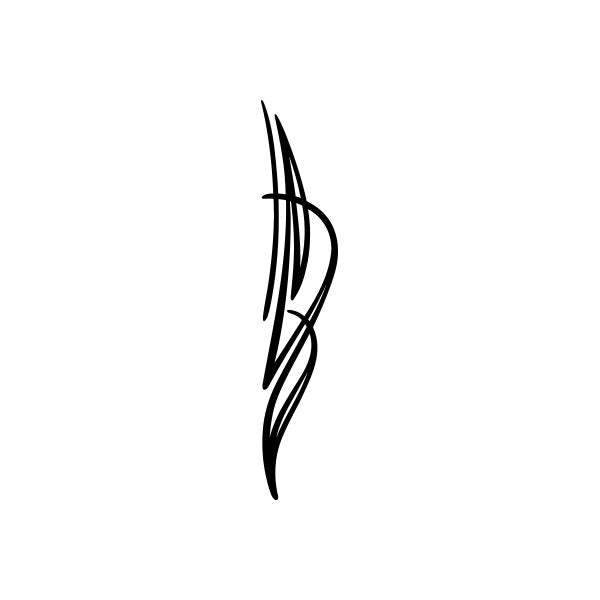 Pinstripes pin stripes lines Car Window Vinyl Decal Sticker Stickers 15