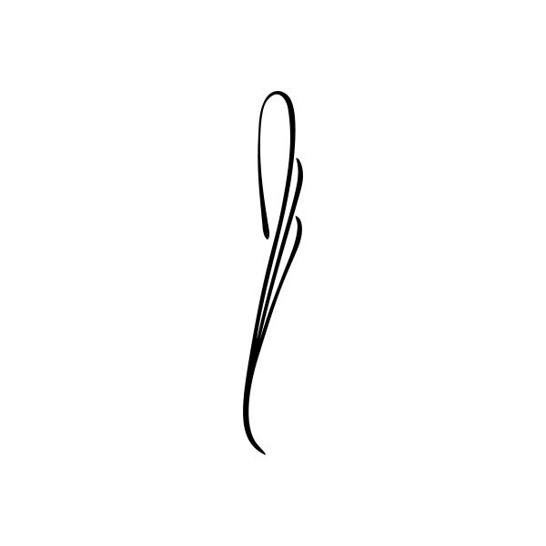 Pinstripes pin stripes lines Car Window Vinyl Decal Sticker Stickers 22