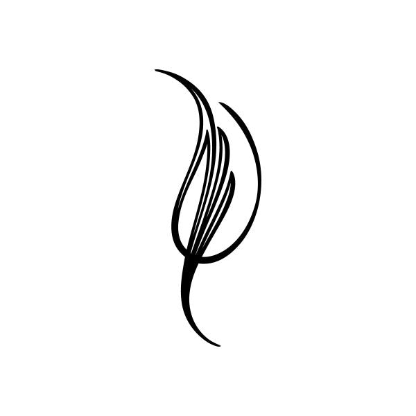 Pinstripes pin stripes lines Car Window Vinyl Decal Sticker Stickers 23