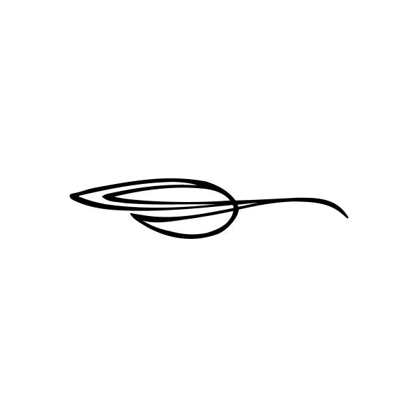 Pinstripes pin stripes lines Car Window Vinyl Decal Sticker Stickers 34