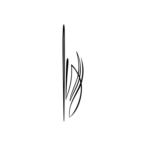 Pinstripes pin stripes lines Car Window Vinyl Decal Sticker Stickers 98