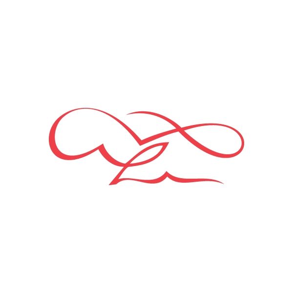 Racing Graphic Pinstripes Wall Decal - Vinyl Decal - Car Decal - DC 8008