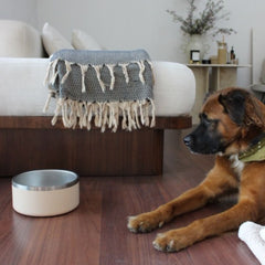 Tilley + Me Stainless Steel Pet Bowl – Non-Slip, Durable & Dishwasher Safe | 32oz and 64oz