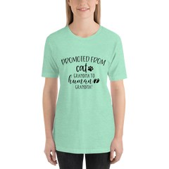 Promoted from Cat Grandma to Human Grandma T-Shirt