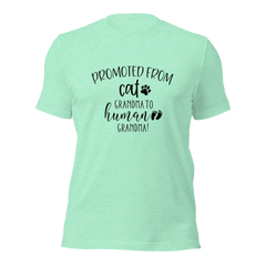 Promoted from Cat Grandma to Human Grandma T-Shirt